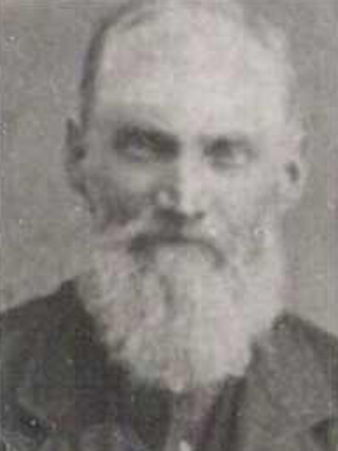 David S. Whitaker (1832 - 1896) Profile